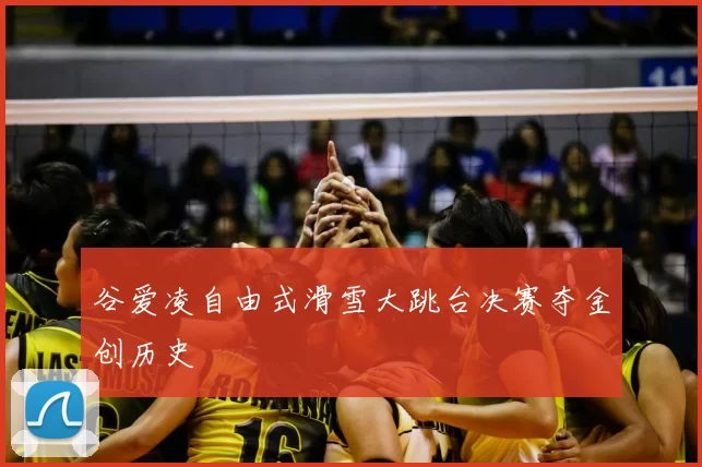 谷爱凌自由式滑雪大跳台决赛夺金创历史