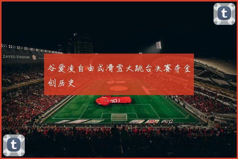 谷爱凌自由式滑雪大跳台决赛夺金创历史