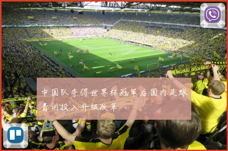 中国队夺得世界杯冠军后国内足球青训投入升级改革