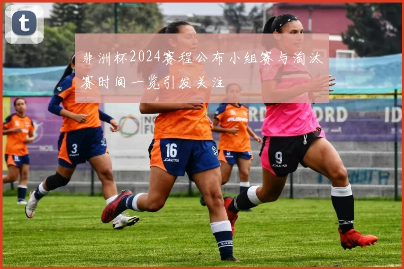 非洲杯2024赛程公布小组赛与淘汰赛时间一览引发关注